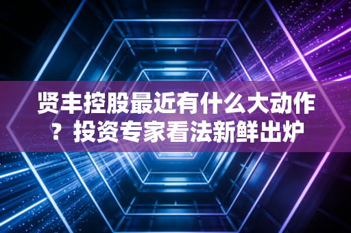 贤丰控股最近有什么大动作？投资专家看法新鲜出炉