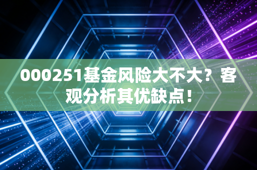 000251基金风险大不大?客观分析其优缺点!