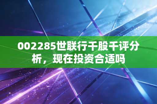 002285世联行千股千评分析，现在投资合适吗