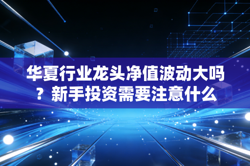 华夏行业龙头净值波动大吗？新手投资需要注意什么