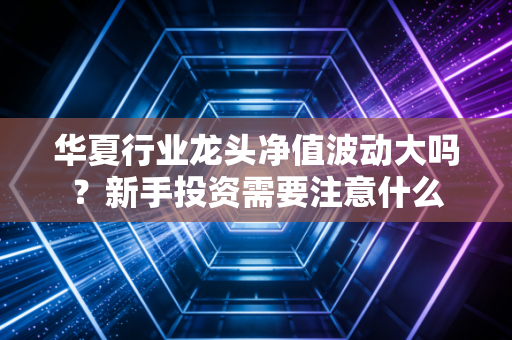华夏行业龙头净值波动大吗?新手投资需要注意什么