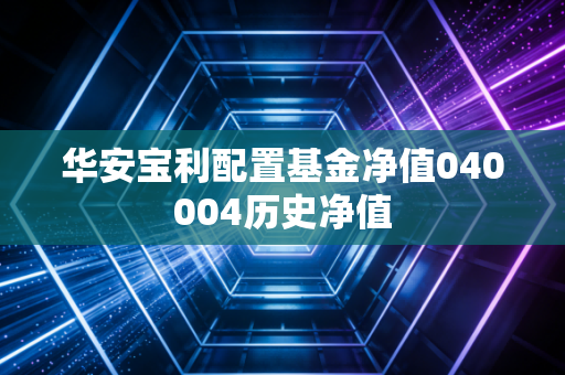 华安宝利配置基金净值040004历史净值