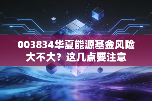 003834华夏能源基金风险大不大？这几点要注意