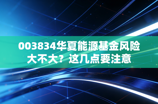 003834华夏能源基金风险大不大？这几点要注意