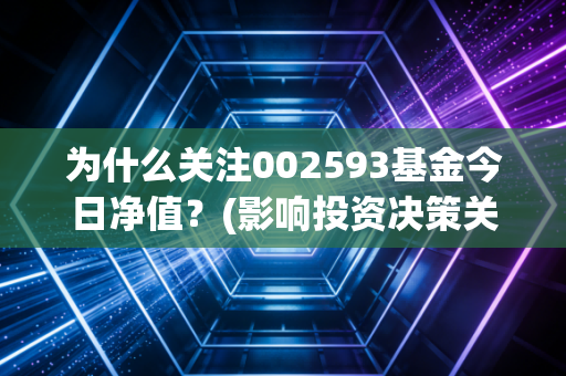 为什么关注002593基金今日净值？(影响投资决策关键点)
