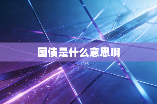 国债是什么意思啊