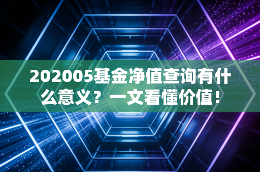 202005基金净值查询有什么意义？一文看懂价值！