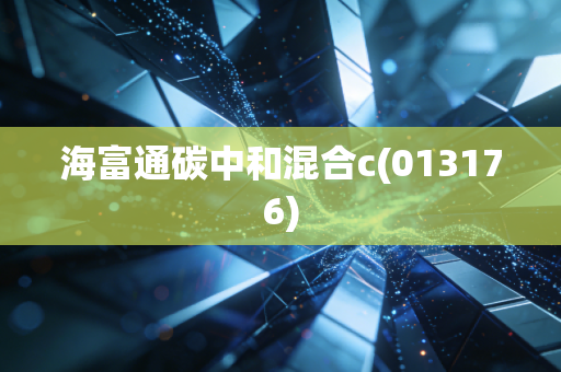 海富通碳中和混合c(013176)