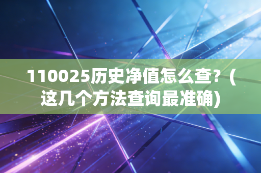 110025历史净值怎么查？(这几个方法查询最准确)