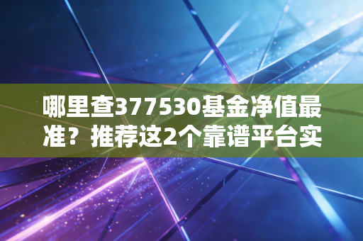 哪里查377530基金净值最准？推荐这2个靠谱平台实时获取