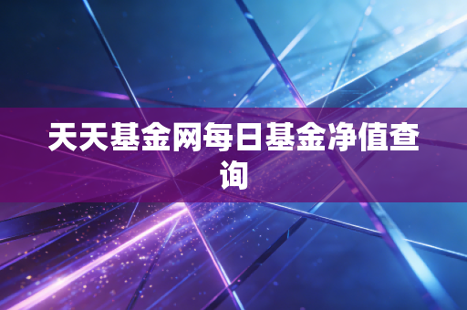 天天基金网每日基金净值查询