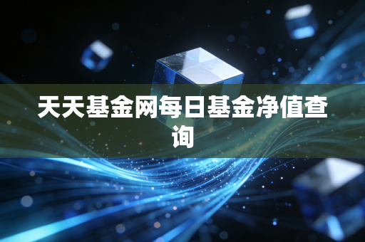 天天基金网每日基金净值查询