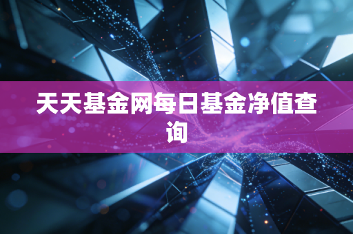 天天基金网每日基金净值查询