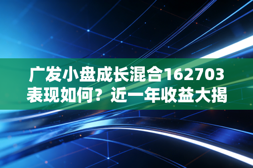 广发小盘成长混合162703表现如何？近一年收益大揭秘