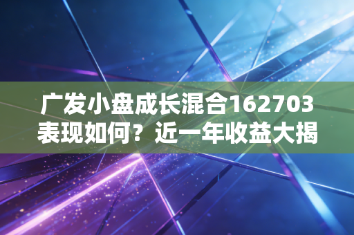 广发小盘成长混合162703表现如何？近一年收益大揭秘