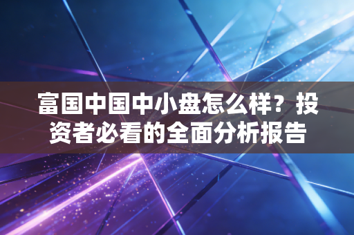 富国中国中小盘怎么样？投资者必看的全面分析报告
