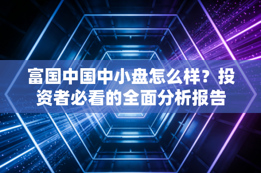 富国中国中小盘怎么样？投资者必看的全面分析报告