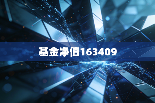 基金净值163409