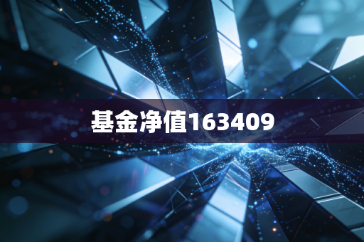 基金净值163409