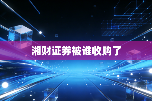 湘财证券被谁收购了