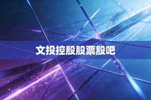 文投控股股票股吧