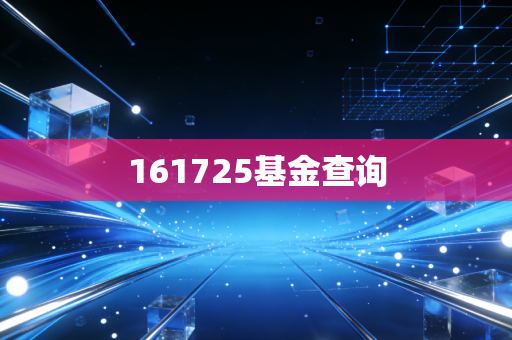 161725基金查询