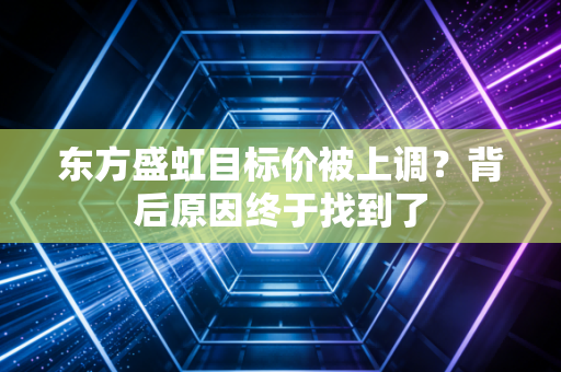 东方盛虹目标价被上调？背后原因终于找到了