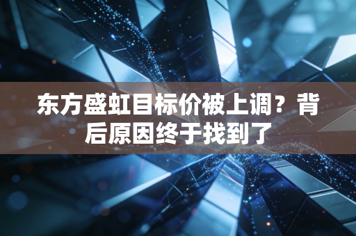 东方盛虹目标价被上调？背后原因终于找到了