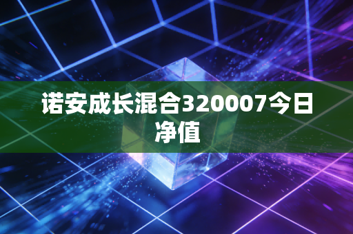 诺安成长混合320007今日净值