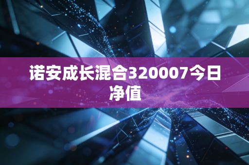 诺安成长混合320007今日净值