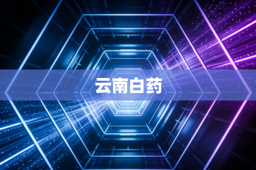 云南白药