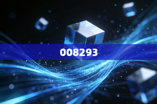 008293