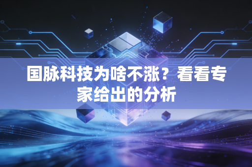 国脉科技为啥不涨？看看专家给出的分析