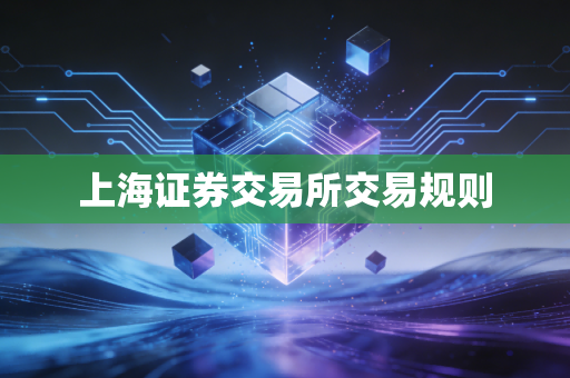 上海证券交易所交易规则