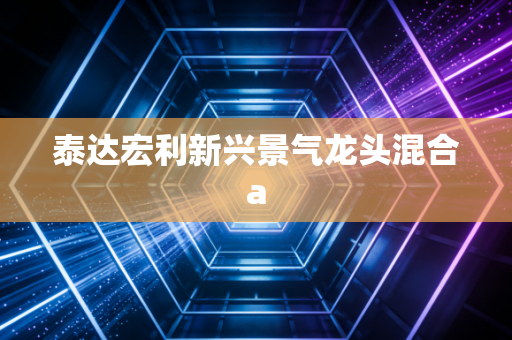 泰达宏利新兴景气龙头混合a