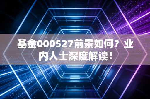 基金000527前景如何？业内人士深度解读！