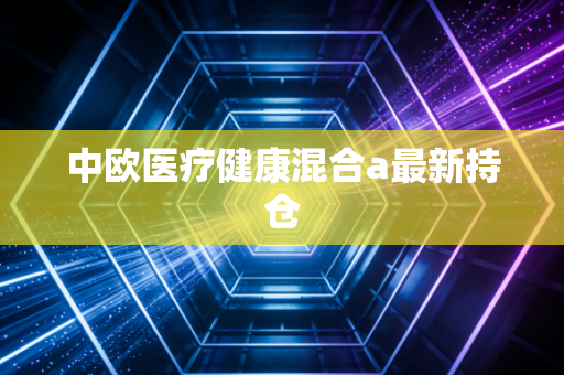 中欧医疗健康混合a最新持仓