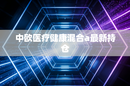 中欧医疗健康混合a最新持仓