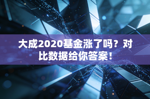 大成2020基金涨了吗？对比数据给你答案！