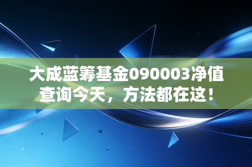 大成蓝筹基金090003净值查询今天，方法都在这！