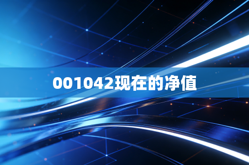 001042现在的净值