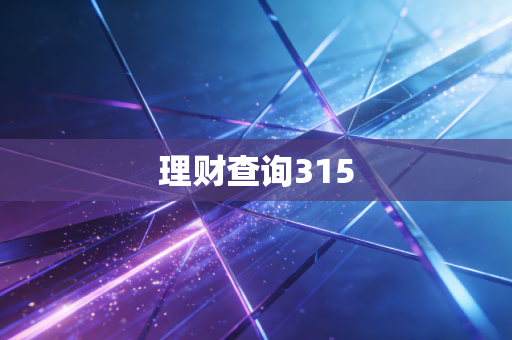理财查询315