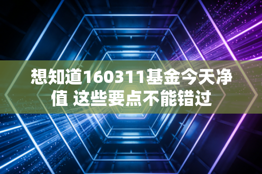 想知道160311基金今天净值 这些要点不能错过