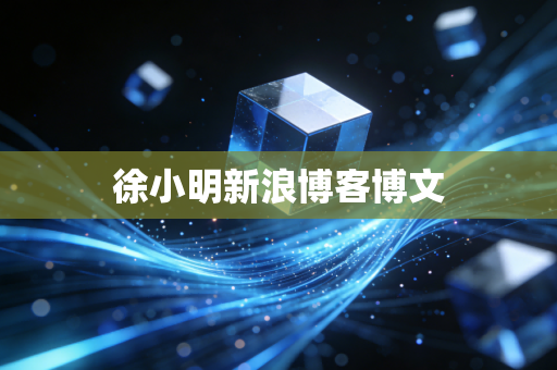 徐小明新浪博客博文