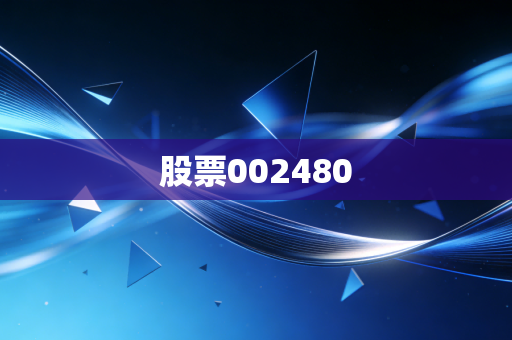 股票002480