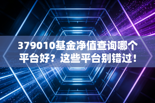 379010基金净值查询哪个平台好？这些平台别错过！
