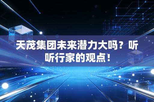 天茂集团未来潜力大吗？听听行家的观点！