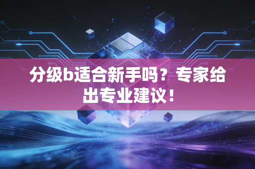 分级b适合新手吗？专家给出专业建议！
