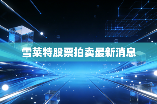 雪莱特股票拍卖最新消息