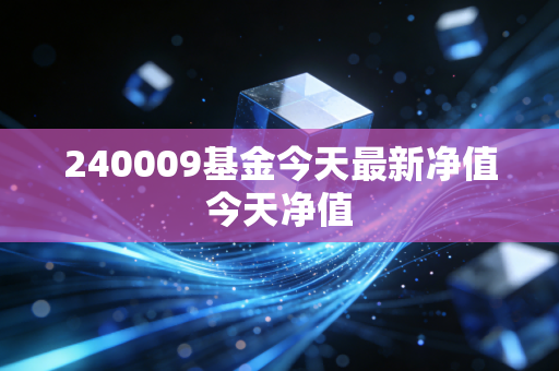240009基金今天最新净值今天净值